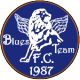 BLUES TEAM